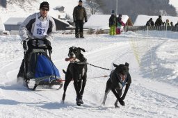 Lenk 2012 SM